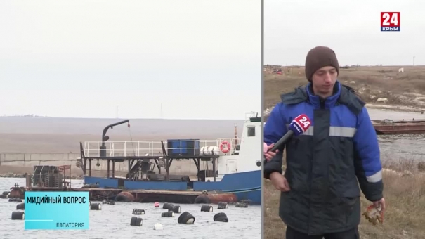 Куда пропали крымские дикие мидии?