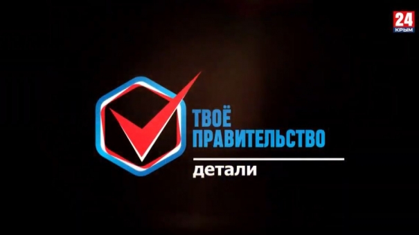 «Твоё Правительство». Детали. Выпуск 4