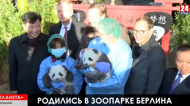 Землетрясение возле Флоренции, массовые потасовки в Алжире, забег Санта-Клаусов в Будапеште