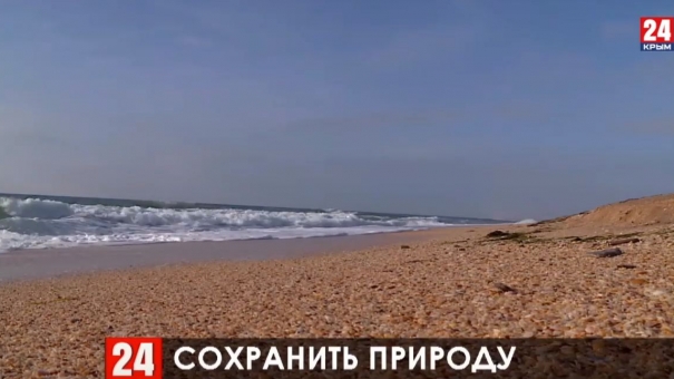 Поправки об охране окружающей среды в Керчи хотят закрепить в Конституции