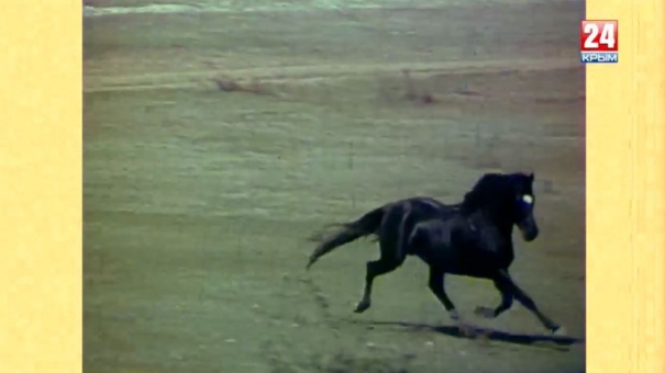 Хроника эпохи. Караби-яйла