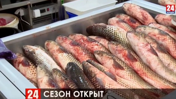 Эксперты пояснили, когда возобновится добыча пиленгаса в Керченском проливе