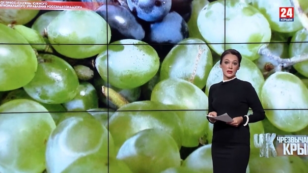 #Чрезвычайный Крым № 258