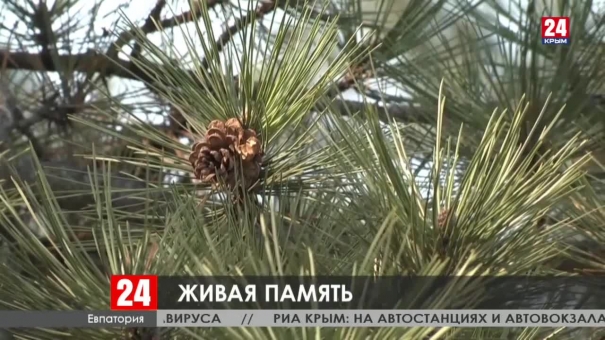 Новости Евпатории. Выпуск от 20.03.20