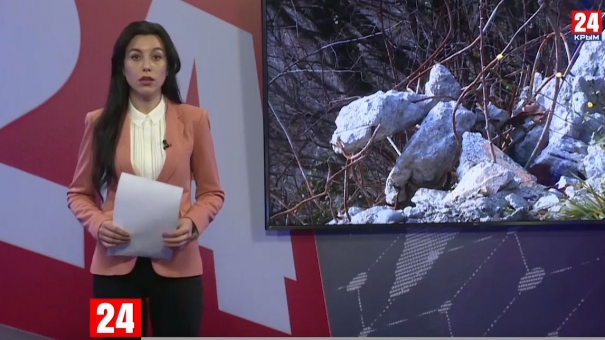 Ялтинские власти рассказали, как планируют укрепить подпорные стены