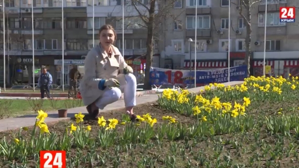 В Симферополе начали высаживать цветы