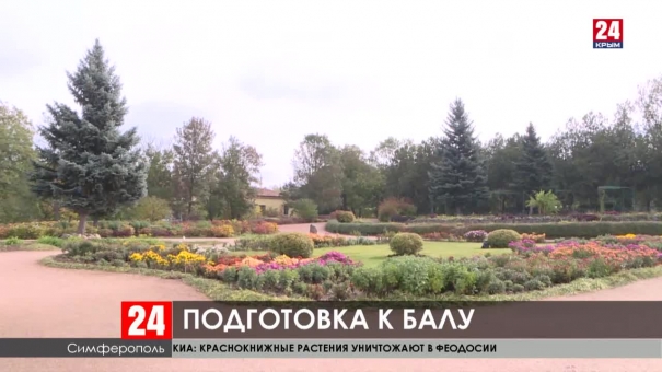 В Ботаническом саду в Симферополе  зацвела магнолия