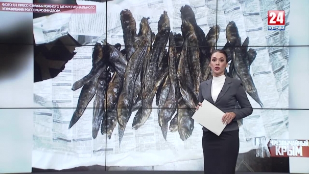 #Чрезвычайный Крым №234