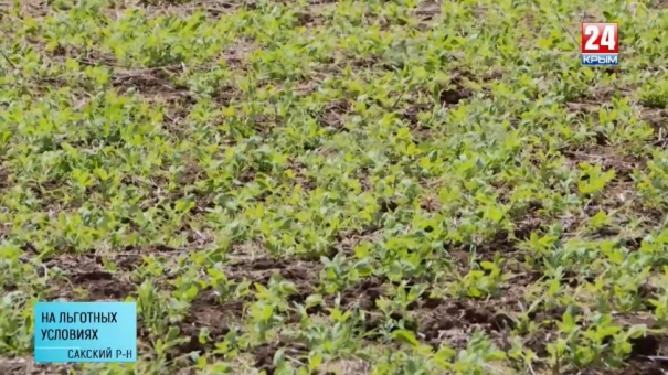 Неделя24. На льготных условиях