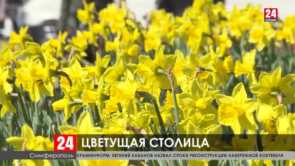 Новости Симферополя. Выпуск от 13.03.20