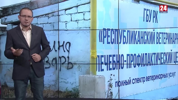 Медвежья услуга. Мишки, бизнес и зубастые каламбуры